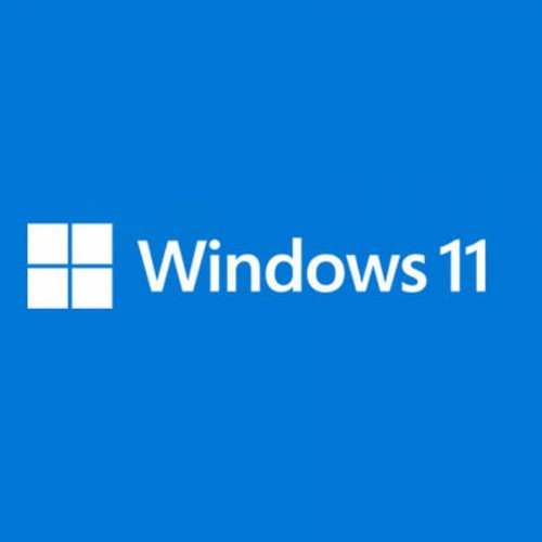 Microsoft WINDOWS 11 PROFESSIONAL oem 32/64 bit