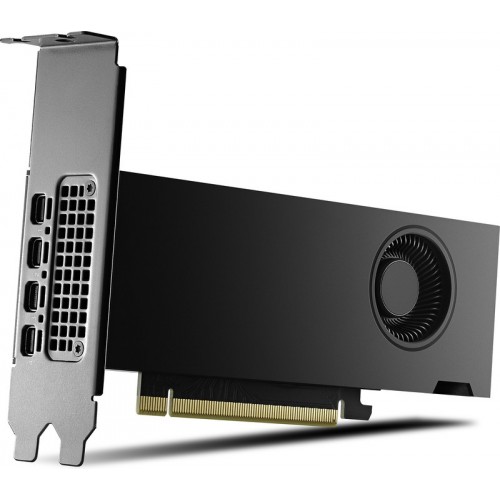PNY NVIDIA RTX 2000 Ada 16GB GDDR6 low profile VCNRTX2000ADA-SB con 4 mini DisplayPort – Scheda video professionale PcSuit.it