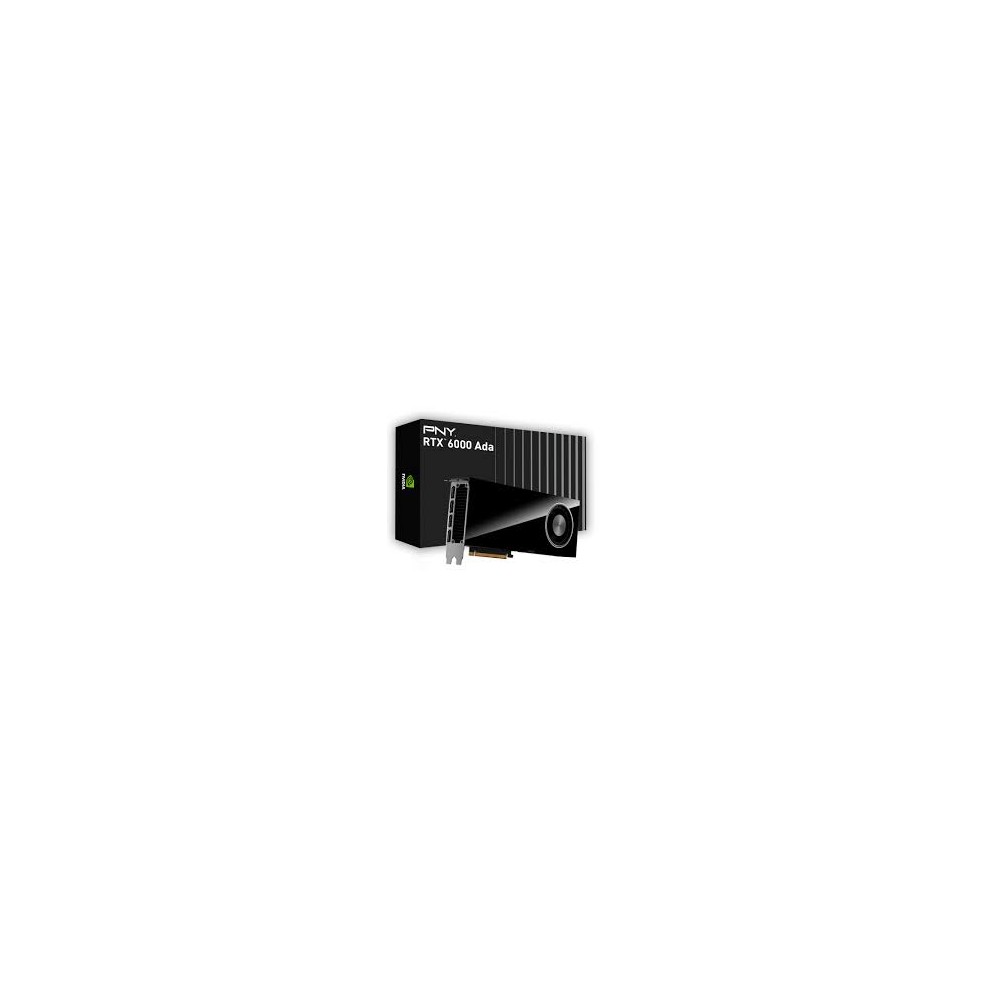 VGA NVIDIA RTX 6000 Ada- card only