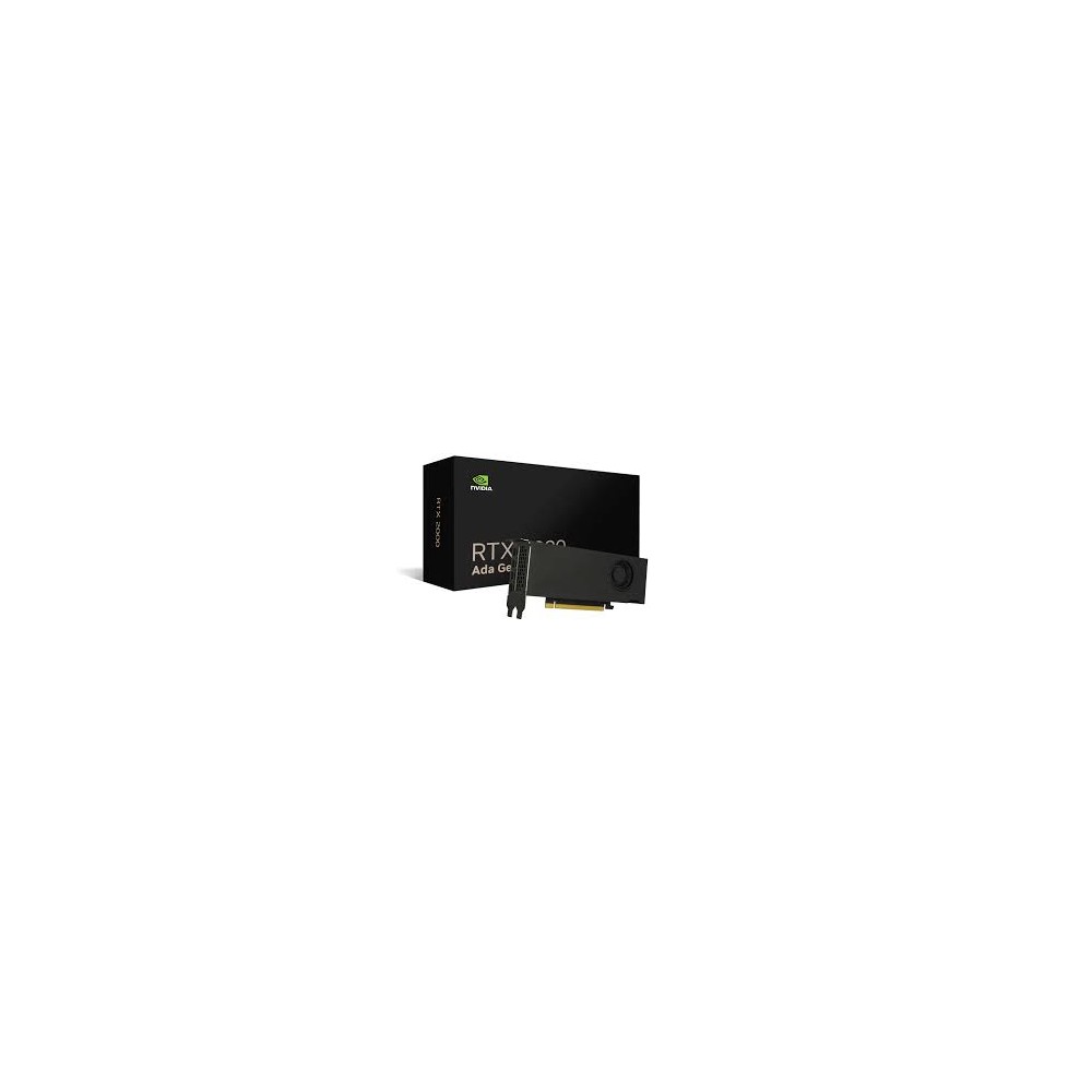 VGA NVIDIA RTX 2000 Ada